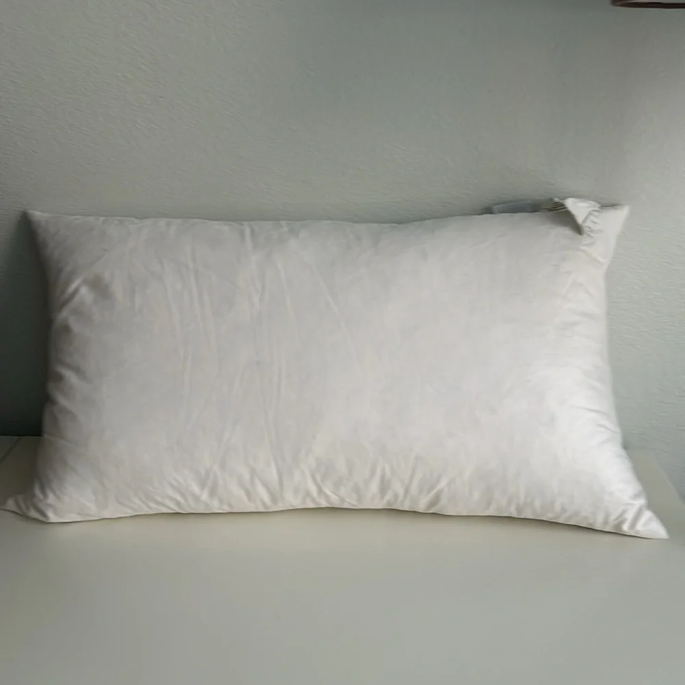 Pottery Barn Embroidered Pillow Cover + Restoration Hardware Pillow